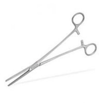 Forceps Artery Spencer Wells Straight 23cm (9.2") X1