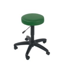 Stool Examination (Sunflower) Castor Base Green